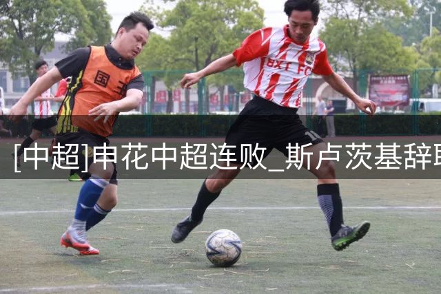 [中超]申花中超连败 斯卢茨基辞职